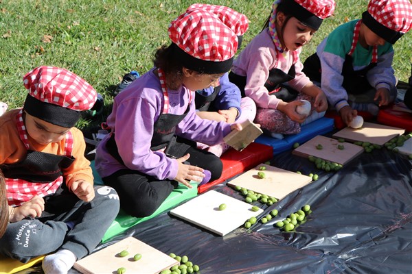 Öğrencilere yönelik zeytin kırma etkinliği gerçekleşti