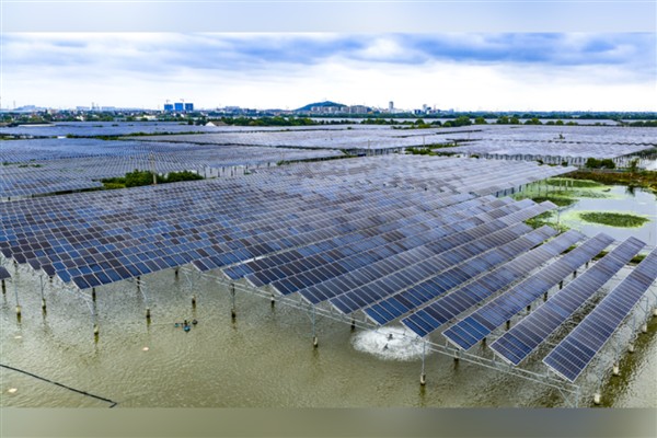 Çin, dünyanın en hızlı enerji dönüşümünü gerçekleştiren ülke oldu